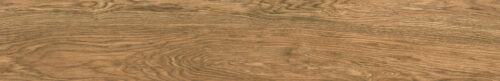 Simple Light Brown