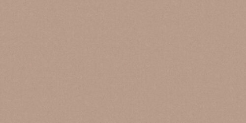 Monolight Mocca