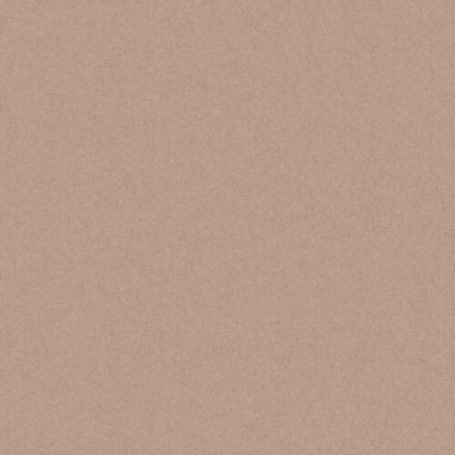 Monolight Mocca