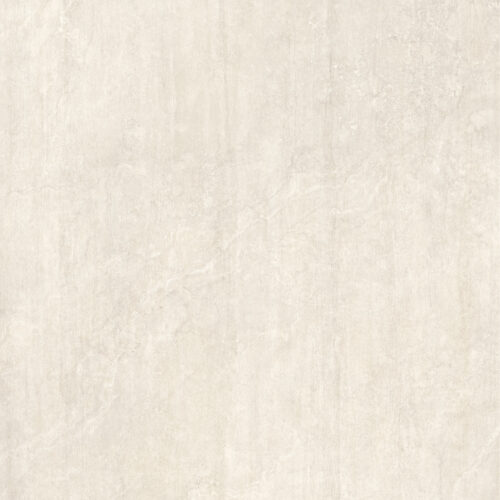 EVERLASTING IVORY