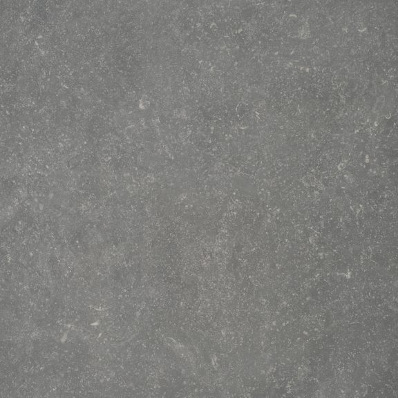 Belgica black