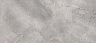 Masterstone Silver polished - Wall tiles, Floor tiles