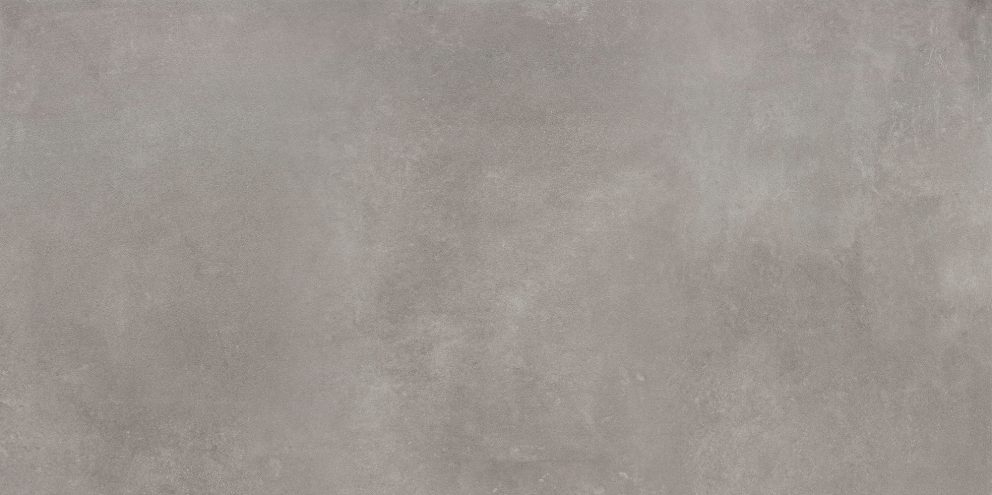 Tassero gris